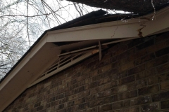 Shingle Roof requiring repair due to a fallen tree