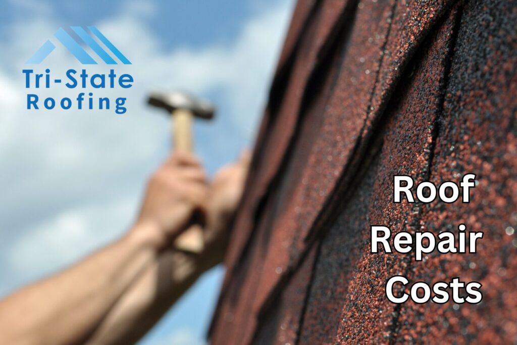 Roof Repair Costs Blog Image